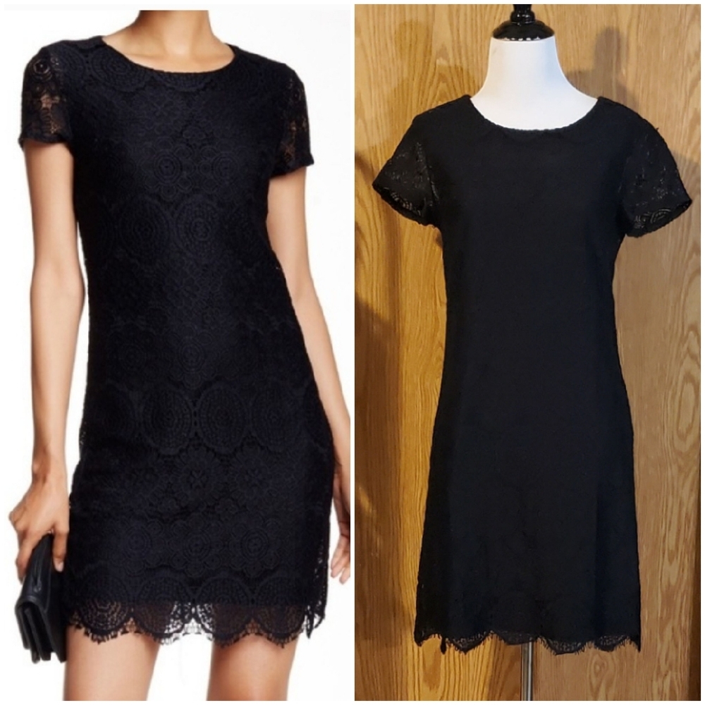 Laundry by Shelli Segal shift dress